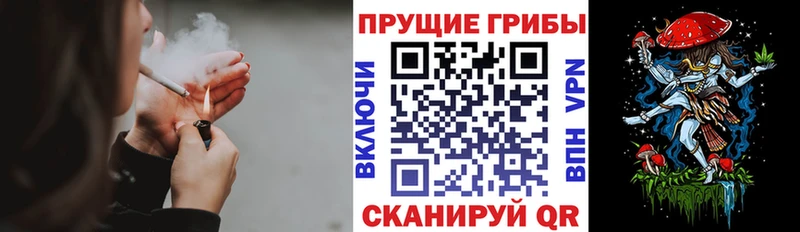 дарк нет как зайти  как найти закладки  Собинка  Псилоцибиновые грибы MAGIC MUSHROOMS 